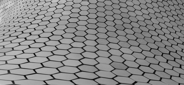 honeycomb shape architecture , grayscale