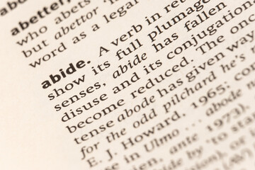 Dictionary definition of the word abide