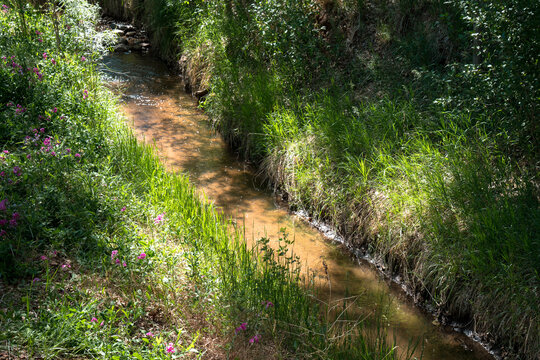 Santa Fe River  in summer as it flows through Santa Fe, New Mexico, USA