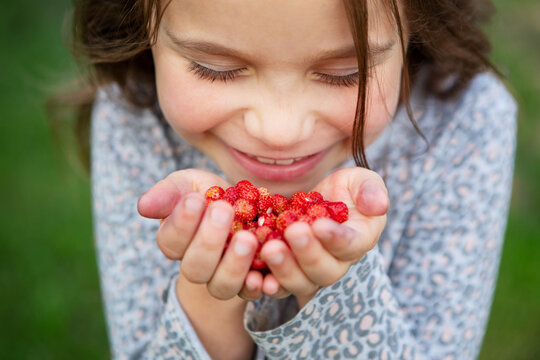 Little girl harvesting fruits and berries at home garden