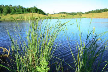 Beautiful river in the highlands in summer. Lake in an ecologically clean park reserve on a background of hills. A pretty landscape in the spring. Stock photo for design