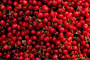 Fresh red wet cherries outdoor