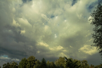 Fototapeta premium Beautiful summer landscape of nature countryside. Green vegetation of grass and trees with hills. Stock photo for design