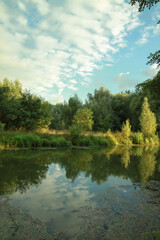 Fototapeta premium Beautiful river in a pretty area in Siberia. Landscape in Canada with a cold lake. Stock photo background.