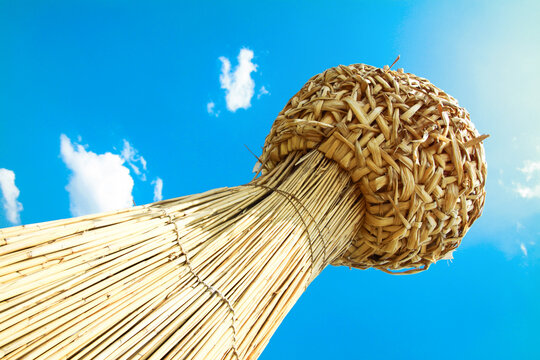 Wheat in a sheaf against a bright blue sky. Harvest symbol. Farm theme. Vedic holidays
