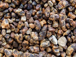 Close-up view of cardamom seeds