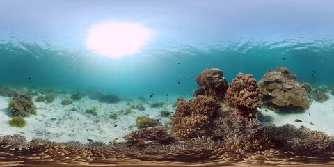 360VR: Beautiful underwater world with coral reef and tropical fishes. Panglao, Philippines. Travel vacation concept