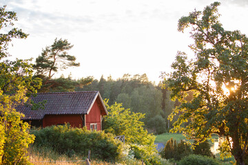 Red summer garden cottage in Sweeden. Traditional Sweden wooden old house. Life on the one of Sweeden islands