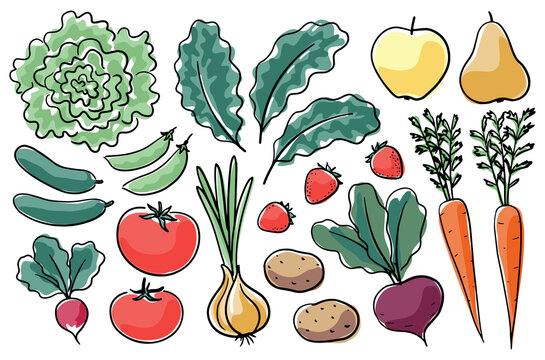 Hand-drawn farm produce. Set of vector illlustrations in ink drawing style, colored