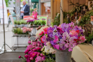 Moody tone. Selected focus view at pink, purple and magenta bouquet of blooming flower in front of floral shop in outdoor market in Europe. Typical atmosphere of flower store.   