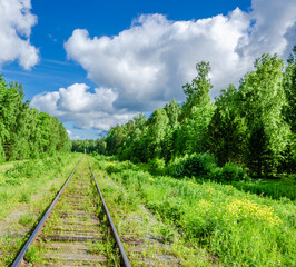 Obraz premium Railway in the forest in summer on a Sunny day.