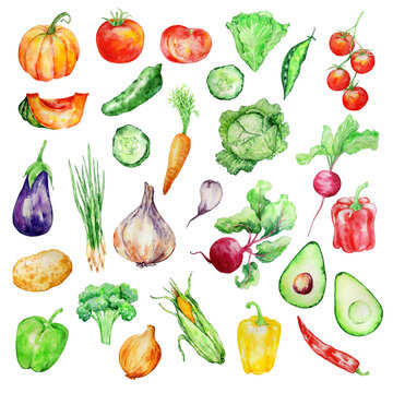 watercolor set of vegetables