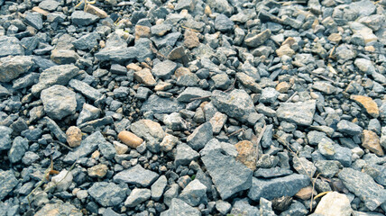 Stones on the shore. On a summer, sunny day.