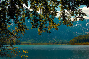 lake and forest, Almsee Grünau Austria