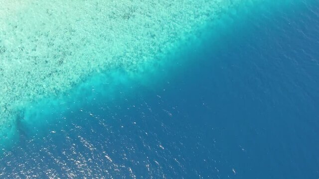 Tropical island and tilt reveal