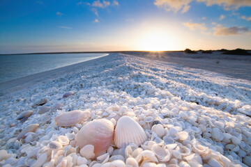 Summer holiday sunrise in Shell Beach, Monkey Mia, Shark bay Western Australia © Hideaki