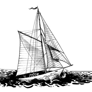 Sailing boat in the sea. Ink black and white drawing