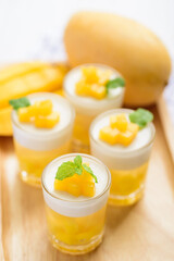 Thai dessert mango pudding, ripe mango dip in agar and coconut milk jelly on top in the glass decorated with mint leaf	
