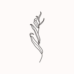 Willow branch with leaves in a trendy minimalistic style. Outline of a botanical design elements. Floral vector