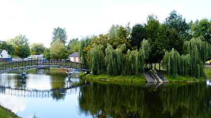 lake in the park