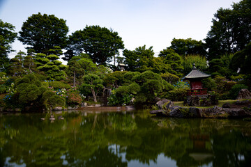 Fototapeta na wymiar 保和苑の日本庭園