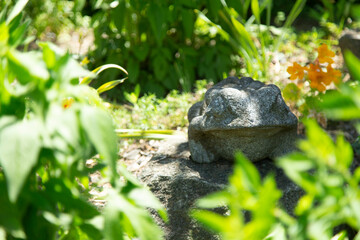 石造 置物 梅雨 晴れ カエル 
