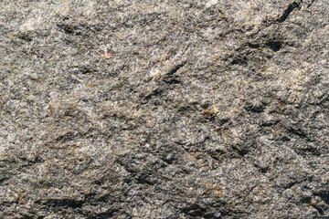 Rock for backdrop. Interspersed with sulfadic copper-nickel ore. Glitter Gold color. Mineral composition is chalcopyrite, pyrrhotite, pentlandite, cubanite, platinum group metals.