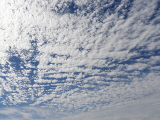 Fototapeta premium うろこ雲