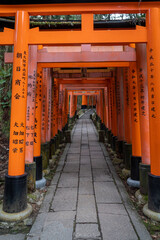 Fushimi Inari Shrine in Tokyo