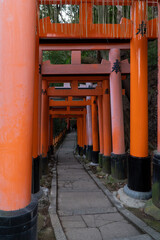 Fushimi Inari Shrine in Tokyo