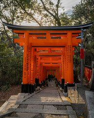 Fushimi Inari Shrine in Tokyo