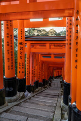 Fushimi Inari Shrine in Tokyo