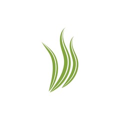 Spirulina seaweed leaf logo illustration