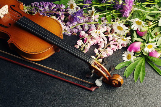 Violin with a bow and garden flowers on a black background.