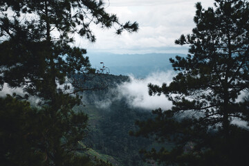 Fototapeta na wymiar Mountains and green trees in the rainy day