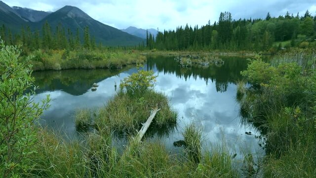 Lake in Alberta