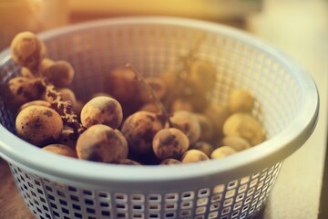 Wollongong in basket