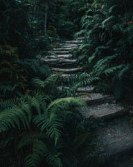 green path to volcano summit