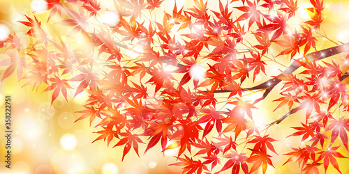 紅葉 もみじ 秋 背景 Wall Mural Wallpaper Murals J Boy 紅葉 もみじ 秋 背景 Wall Mural Wallpaper Murals J Boy