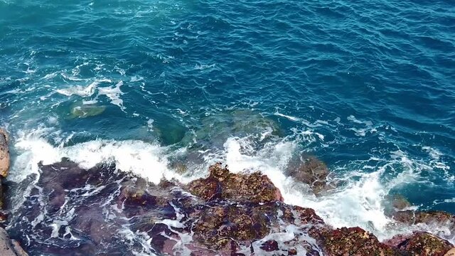 HD Hawaii Kauai slow motion static wide shot looking down on ocean waves pushing one sea turtle to rocks in lower half and pulls the sea turtle back to another sea turtle in the water at edge of rocks