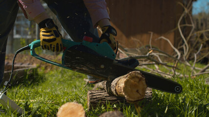 Hands of a woman cutting tree on the yard