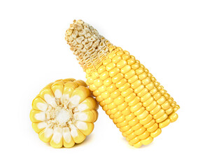 corn isolated on white background