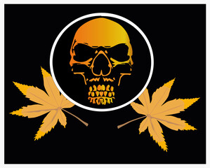 vector of skull and hashish leaves, as an illustration if using drugs