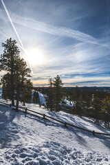 Covered by snow at Bryce Canyon National Park