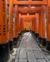 Fushimi Inari Shrine. Kyoto, Japan.