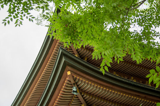 重厚で荘厳なお寺の屋根と新緑が美しい樹々