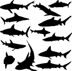 thirteen shark silhouettes collection isolated on white