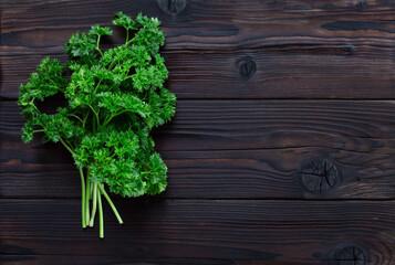 Parsley bunch on wood table background with copy space for text. Organic curly parsley from the garden on rustic board, vegetarian food overhead.