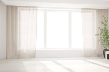 modern room with curtains,plant in black pot interior design. 3D illustration