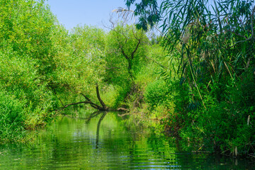 Fototapeta na wymiar Daliyot stream, in the Majrase - Betiha Nature Reserve